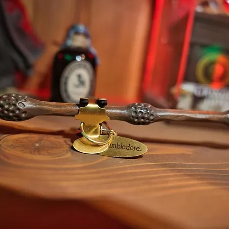 Appartamento Chez Potter Escape Game, Secret Room, Ps5 Garage, Insolites