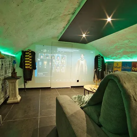 Chez Potter Escape Game, Secret Room, Ps5 Garage, Insolites * 南锡