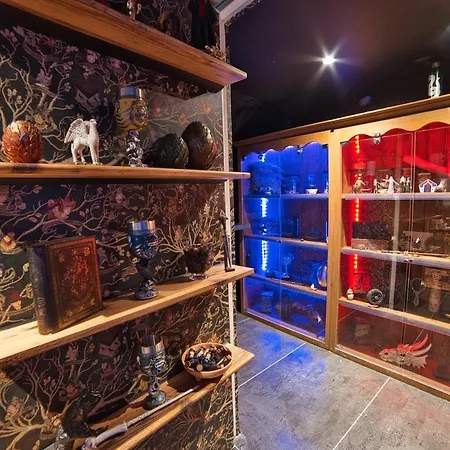 Chez Potter Escape Game, Secret Room, Ps5 Garage, Insolites 南锡