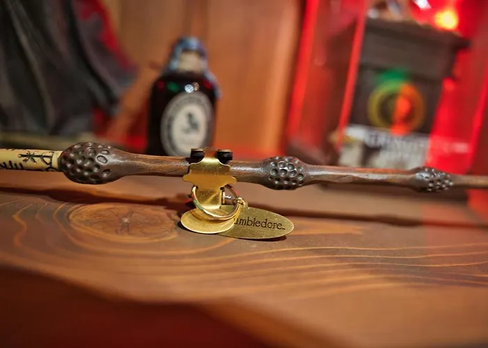 Daire Chez Potter Escape Game, Secret Room, Ps5 Garage, Insolites