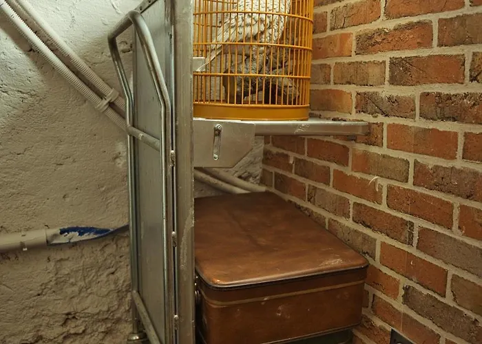 Chez Potter Escape Game, Secret Room, Ps5 Garage, Insolites Daire